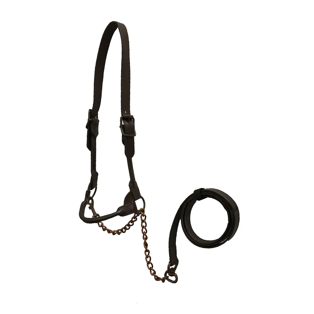 Derby Originals Bronze Beauty Premium Round Rolled Leather Cattle Show Halter with Matching Chain Lead - One Year Limited Manufacturer’s Warranty