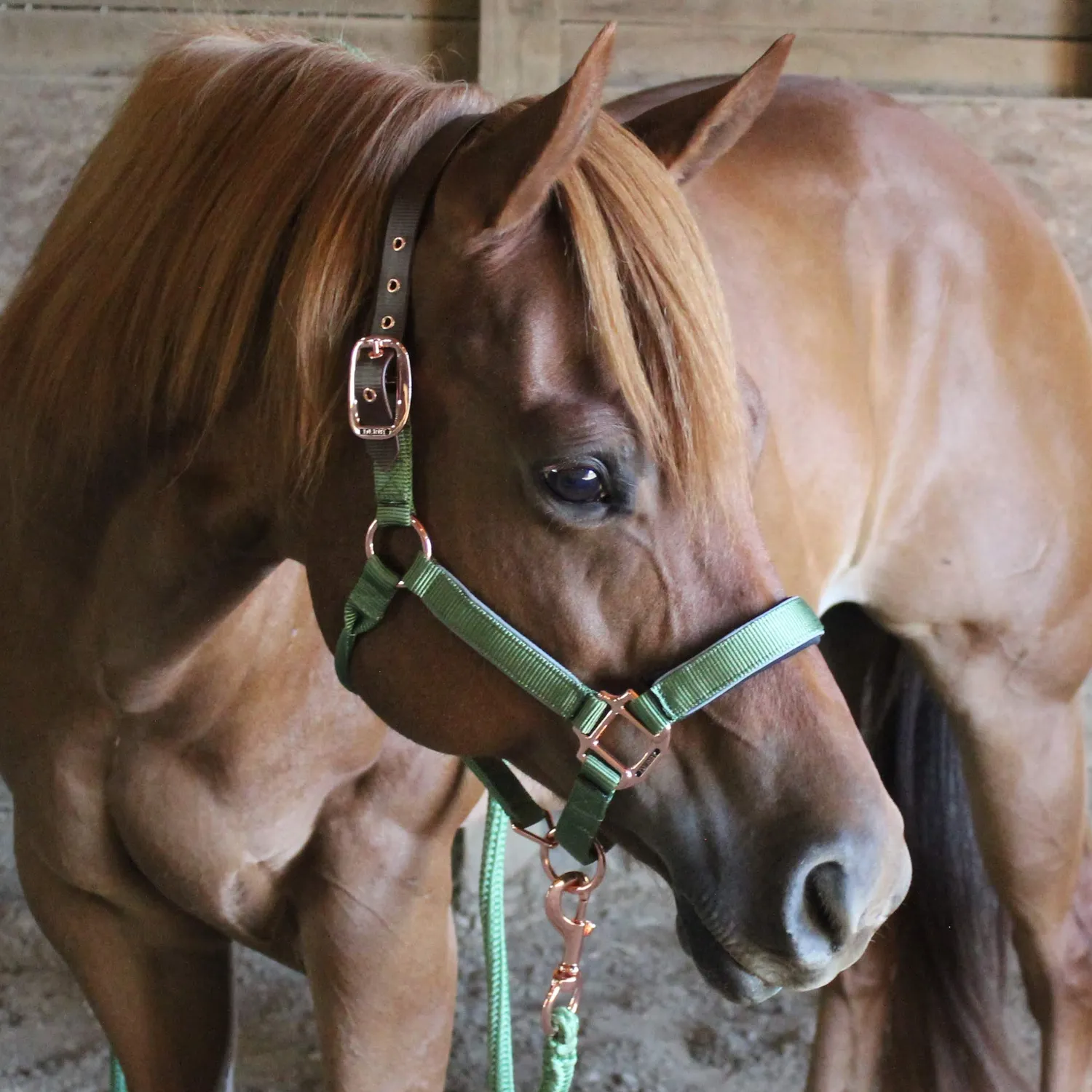 Derby Originals Desert Rose Collection Rose Gold Reflective Safety Flex-Webb Horse Halters with Matching Lead Ropes
