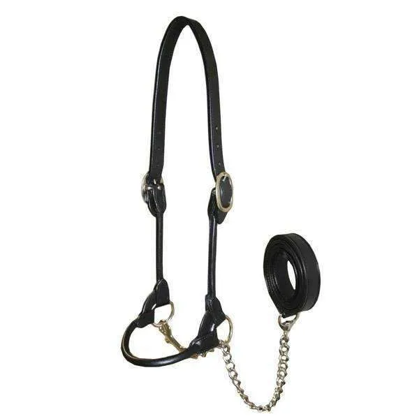 Derby Originals Rolled Leather Cattle Show Halter - One Year Warranty