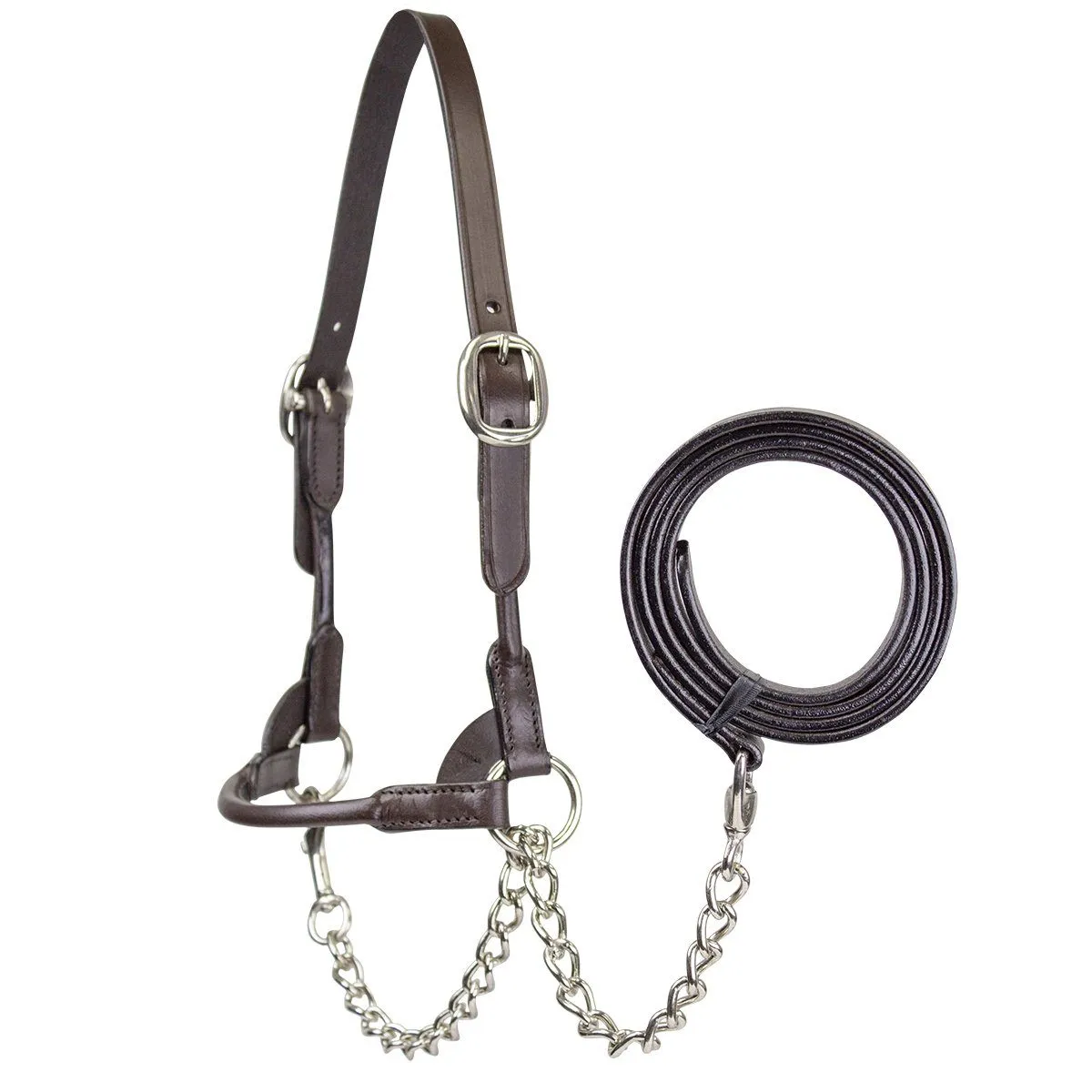 Derby Originals Rolled Leather Cattle Show Halter - One Year Warranty