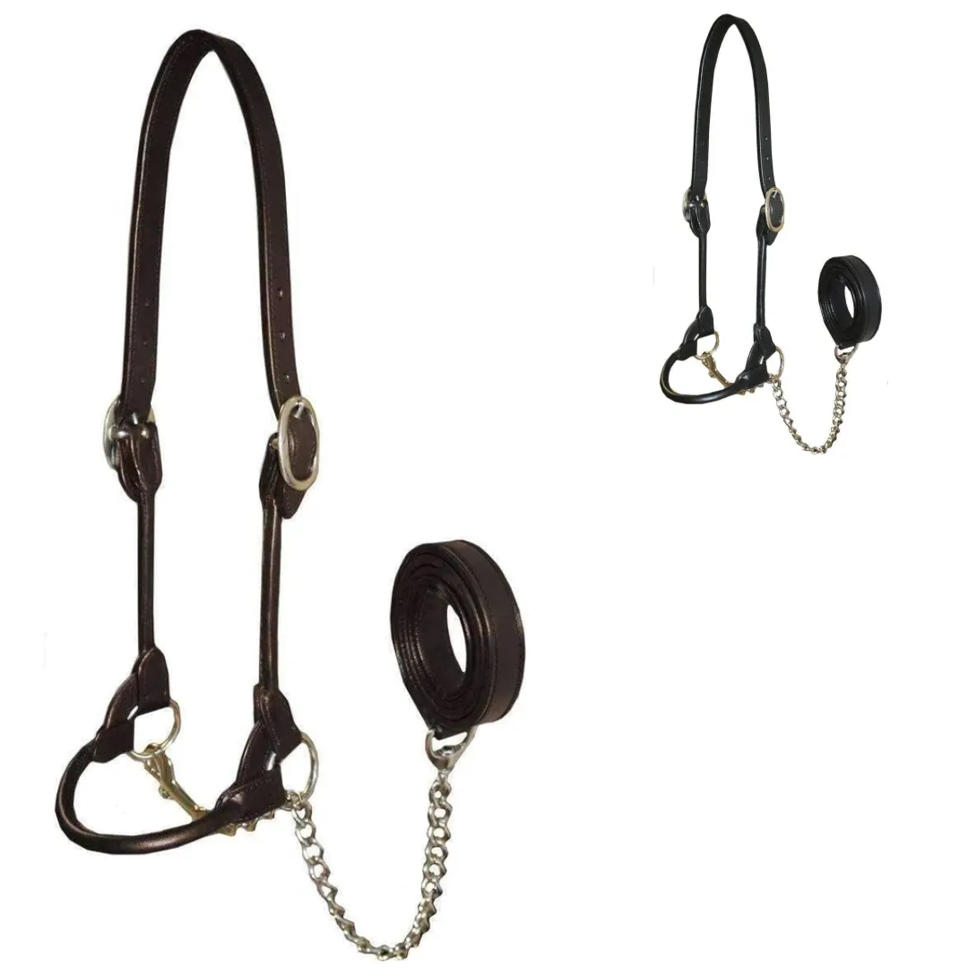 Derby Originals Rolled Leather Cattle Show Halter - One Year Warranty