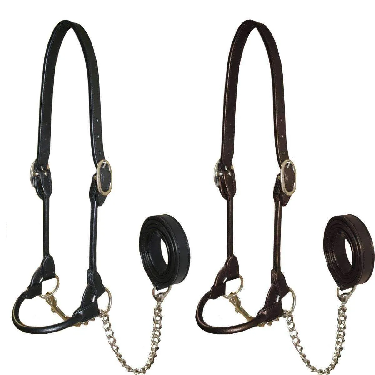 Derby Originals Rolled Leather Cattle Show Halter - One Year Warranty