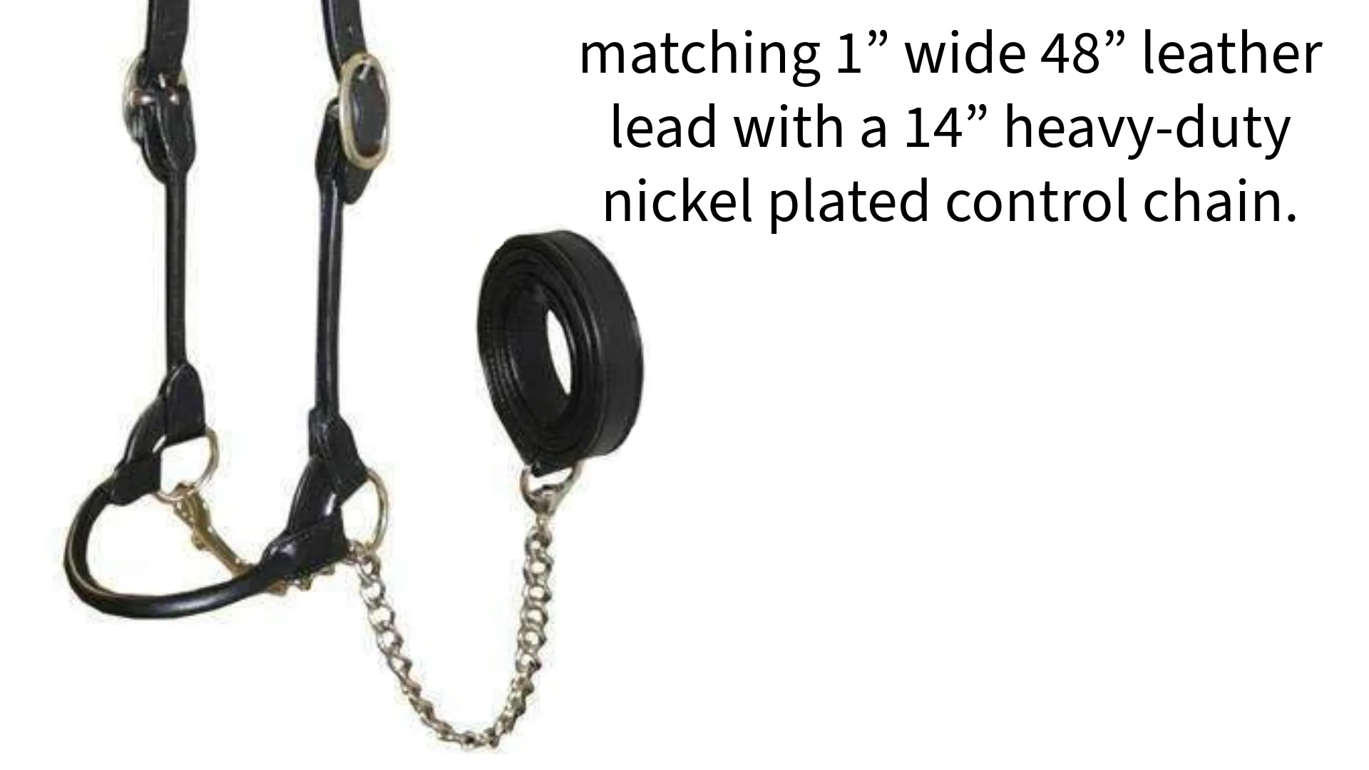 Derby Originals Rolled Leather Cattle Show Halter - One Year Warranty