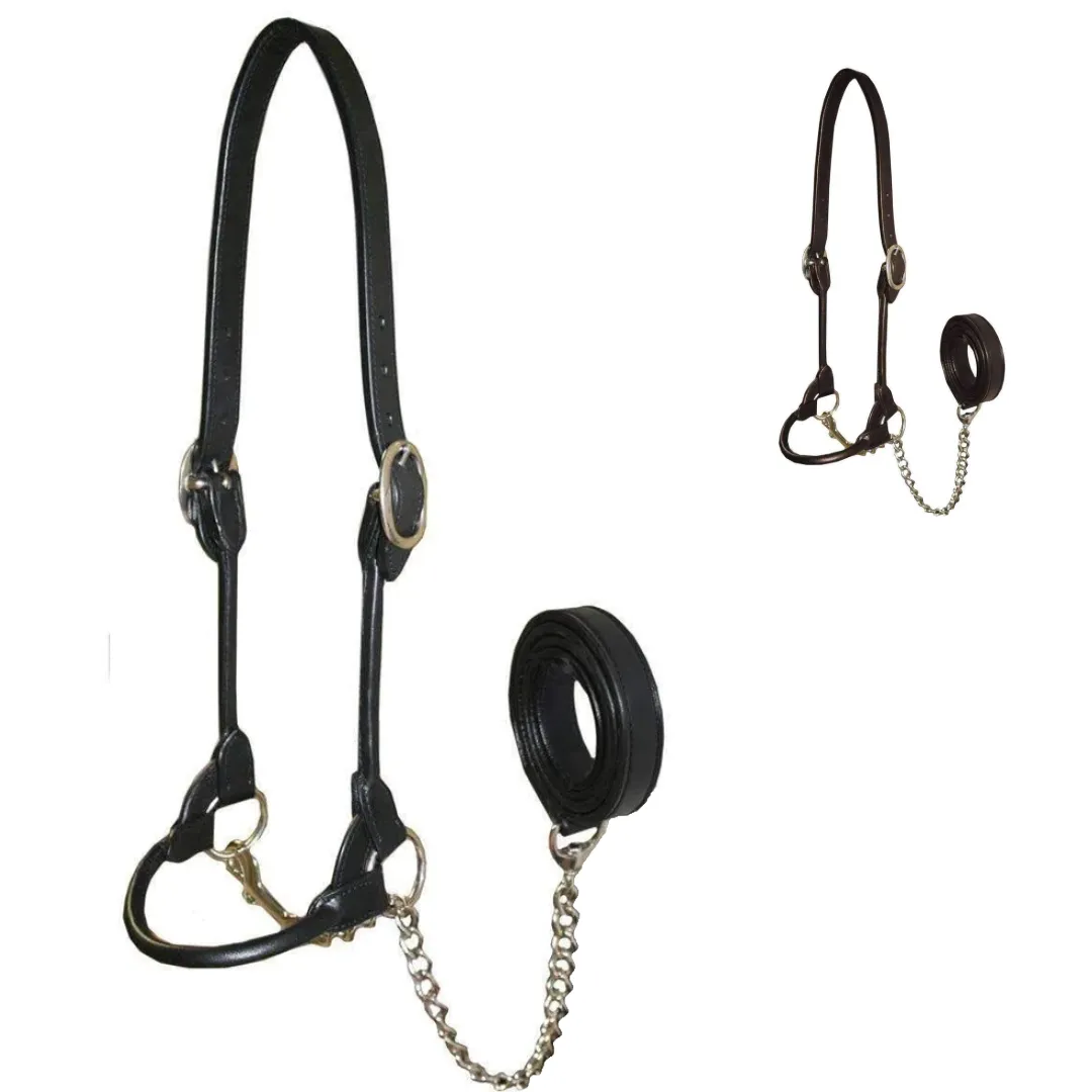 Derby Originals Rolled Leather Cattle Show Halter - One Year Warranty