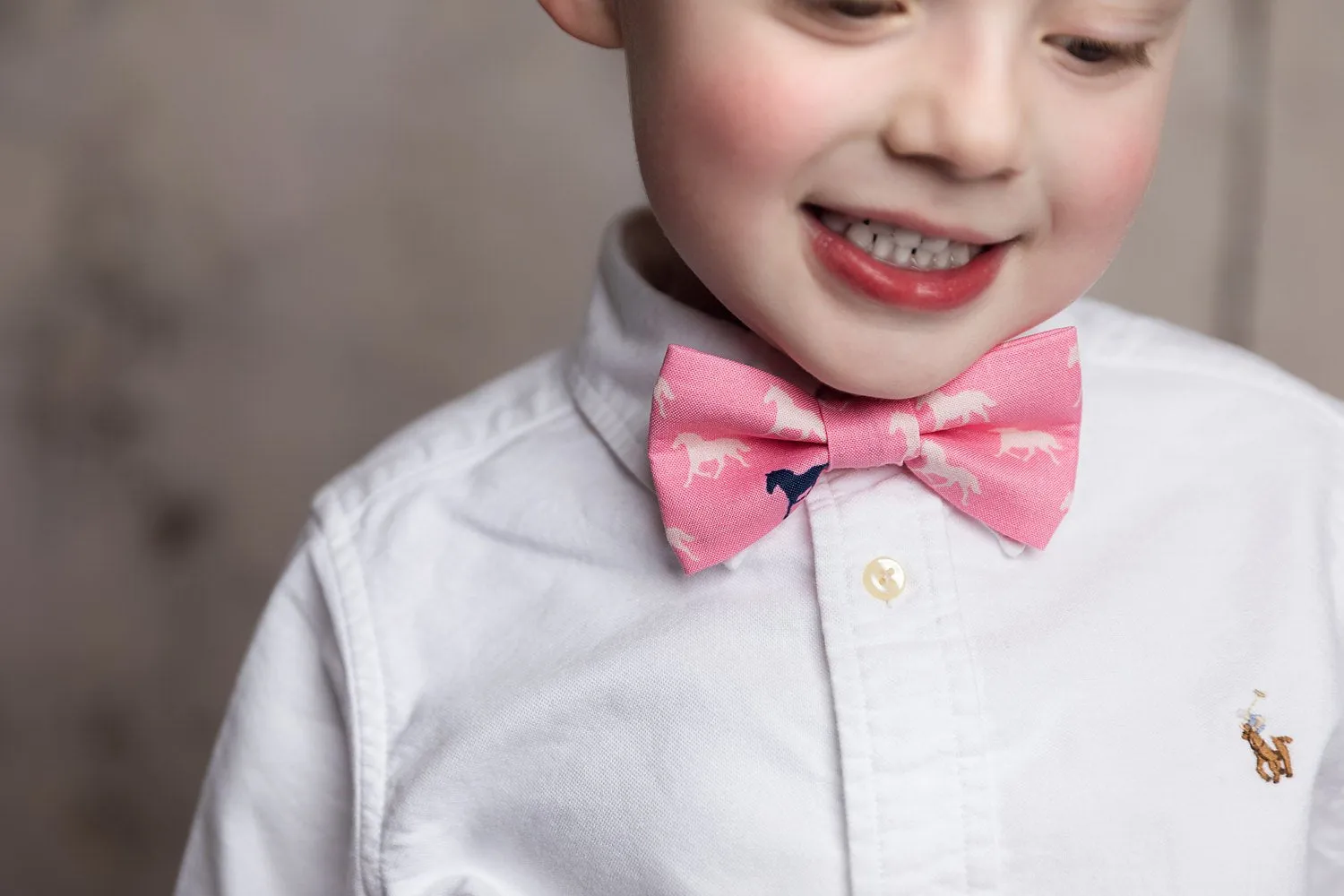 Pink on Dark Pink Horses Bow Tie