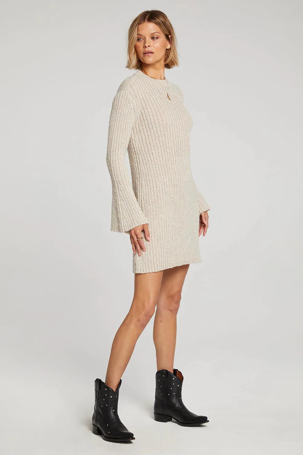 Saltwater Luxe Audrie Sweater Dress